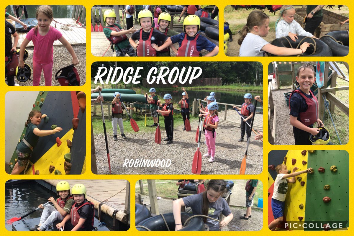 Preston Grange Primary School tweet media