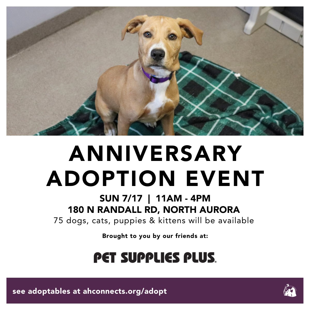 AndersonHumane's tweet photo. Are you ready to #adopt a new #dog or #cat? Mark your calendars for SUN 7/17 11a-3p when we’ll host a special #AdoptionEvent to celebrate FIVE YEARS of partnership between #AndersonHumane and #PetSuppliesPlus. Join us at the #NorthAurora #PetSuppliesPlus. #AdoptDontShop https://t.co/bDLRutx7tj