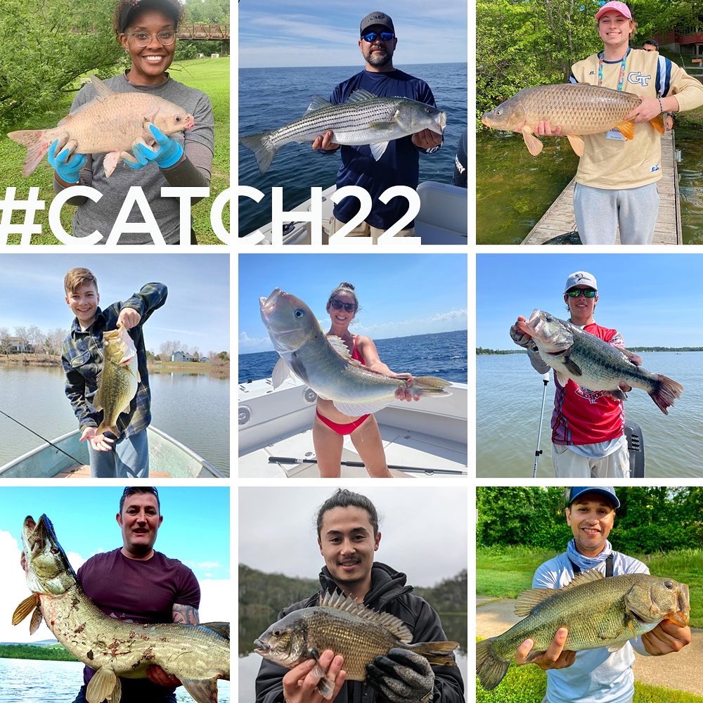 FishAnglerApp's tweet photo. #catch22 is live and the competition is fierce!
Here’s a recap of the most recent catches on the App.
Download the #1 FREE fishing app and take your fishing to the next level!
#freeapp #fishing #catch22 #opencontest #fish #saltwaterfishing #freshwaterfishing #bassfishing https://t.co/B9LflkwPIH