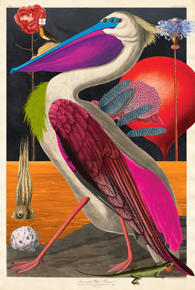 Did you know?

15% of Birds of Sõlis' primary sales &amp; 10% of secondary sales will be donated to Nia Tero; a non-profit organization that works in solidarity with Indigenous peoples around the world to secure guardianship of biodiverse ecosystems 💜

#Solana #NFTCommunity