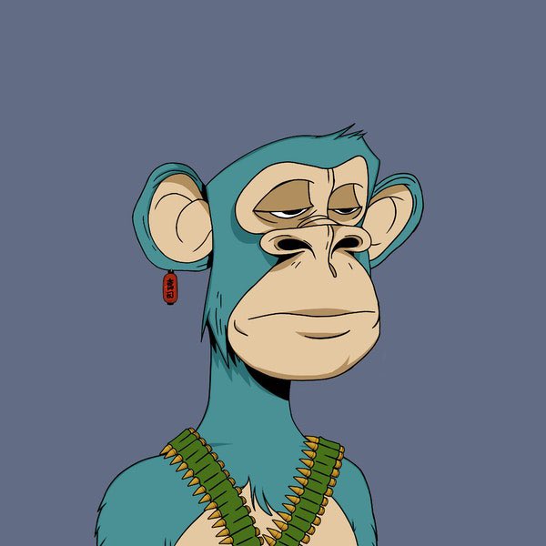 We have an advice for you 💡 

Get an ape over at opensea.io/collection/jap…

Go to wearebuilding.xyz 

Thank us later😉