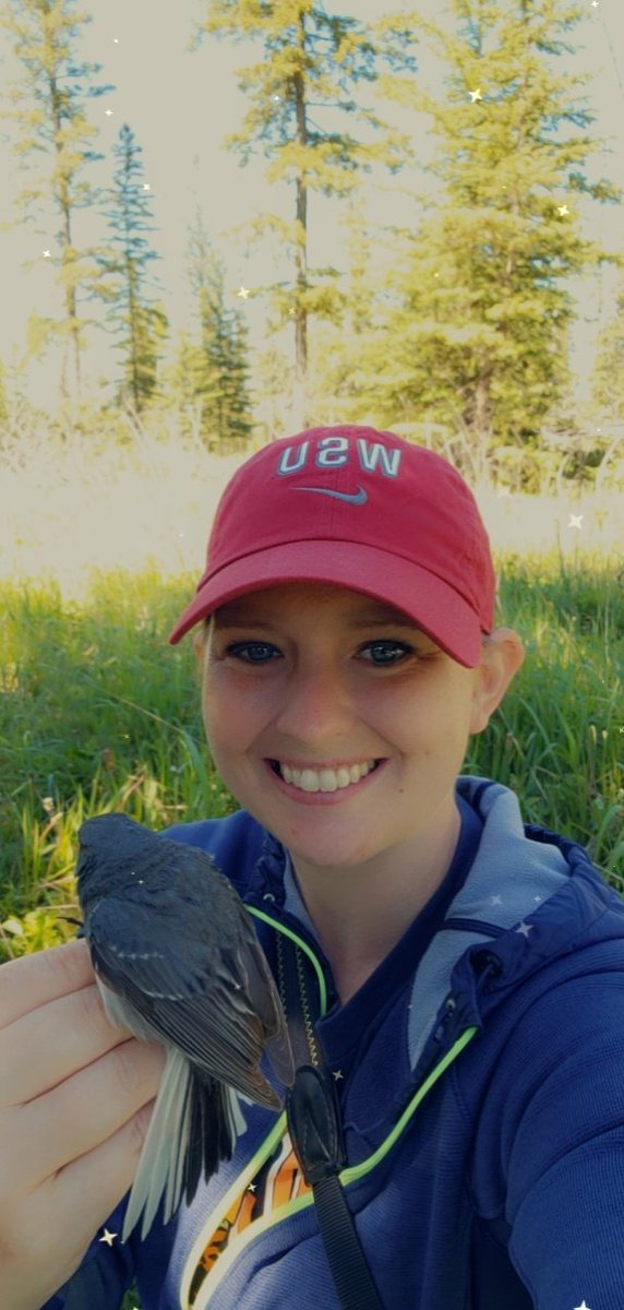DrJessGraham's tweet photo. Banded my 100th junco of 2022 today!! 🐦 https://t.co/1nd0VPhjXs