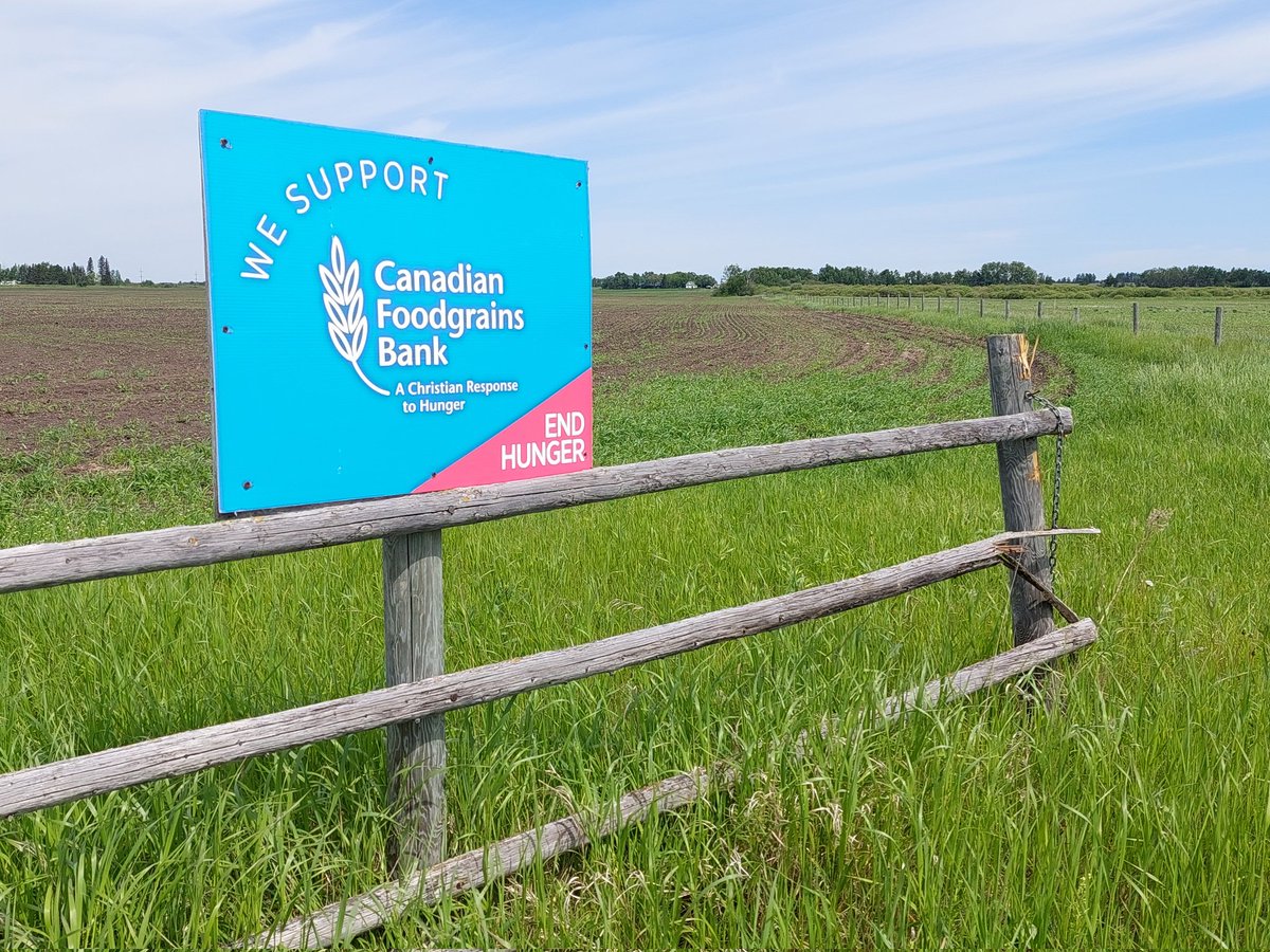 Signs of a strong network of Manitoba growing projects supporting <a href="/Foodgrains/">Canadian Foodgrains Bank</a> Bank. The Swan Valley Fields of Jubilee project, and the Faith Growing Prject at Roblin have their project field seeded.