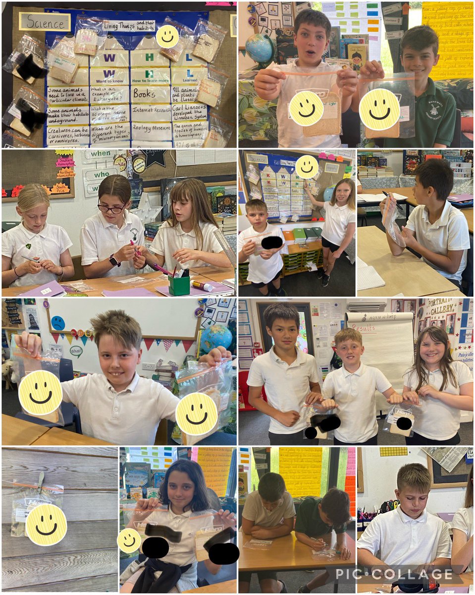 BardwellPrimary's tweet photo. Oak Class are investigating the speed and rate of mould growth on processed bread & have set up experiments using a #scientificquestion and the three #scientificvariables #scienceinaction #wearescientists #inquisitive #livingthingsandtheirhabitats #microorganisms #observation 🔍 https://t.co/7YBg1UENt2