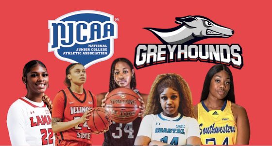 𝐇𝐚𝐧𝐚 𝐇𝐚𝐝𝐞𝐧 tweet media