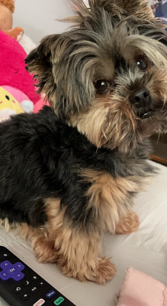 Hey fwands! sorry I haven’t posted in a while I’ve been very busy, what have you been up to?