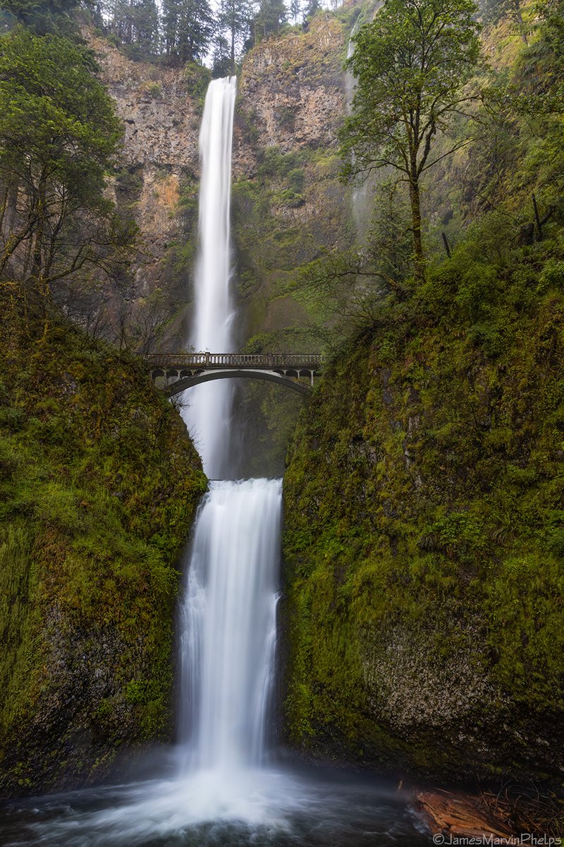 Multnomah Falls
Columbia River Gorge
Oregon
June 2022

#oregon #WaterfallWednesday #waterfall #MultnomahFalls