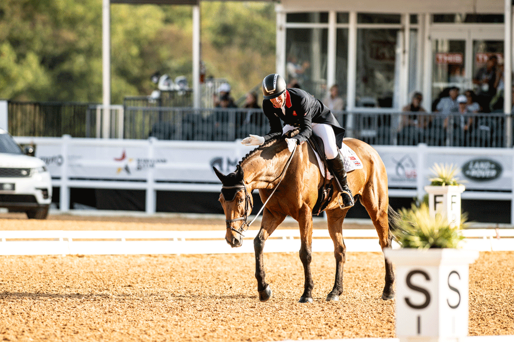 Maryland5Star's tweet photo. Happy National I Love Horses Day!🐴❤ We can't think of a better way to celebrate than by looking back on some post-ride pats for very special horses at the inaugural #MD5Star!🥰 #NationalILoveHorsesDay #eventing #USAEventing #Maryland5Star #CCI5 #5Star #shannonbrinkman https://t.co/kQUkm2ZAwE