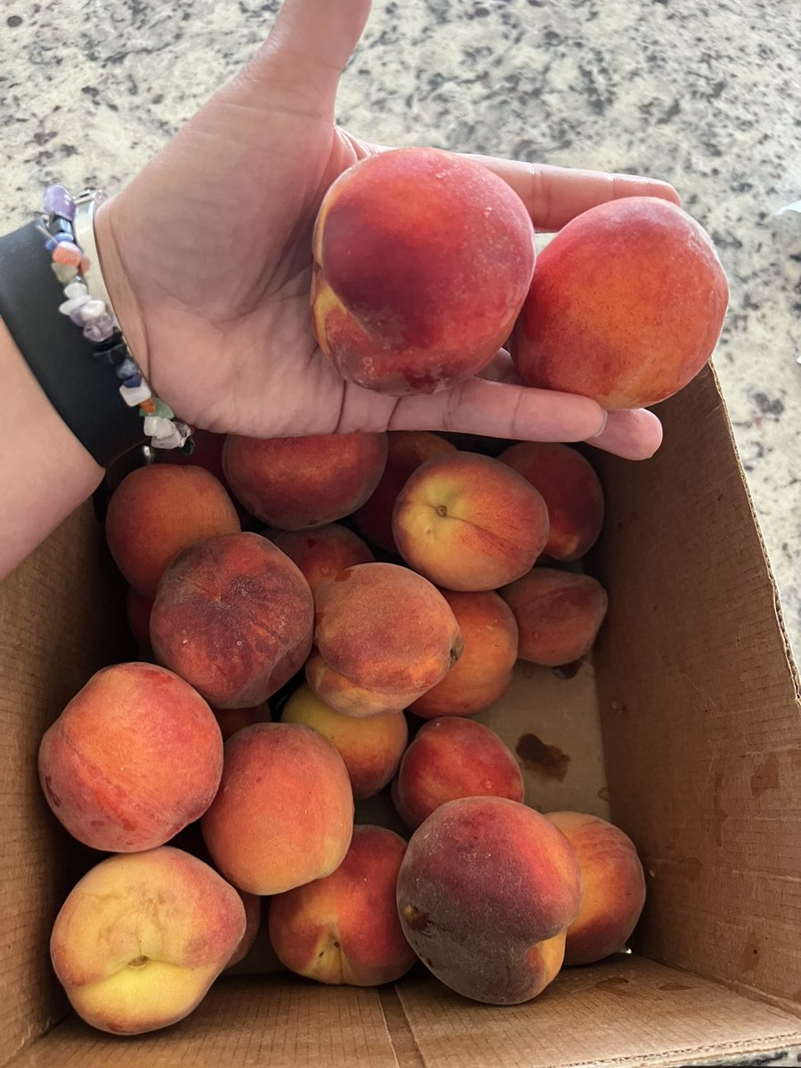 A. Nicole Canty tweet media