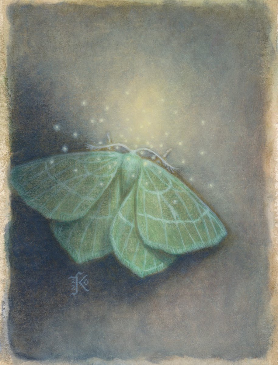 Kaysha Siemens @kayshasiemens, 'Emerald Moth', Oil on Arches oil paper, 3.25 x 4.25 in (8.26 x 10.8 cm), on view at Haven Gallery through July 10th. View the entire show here: havengallery.com/portfolio/tetr… To inquire, please send us a dm or email info@havengallery.com