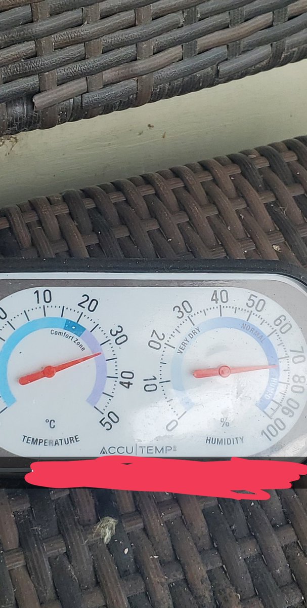 danleafs's tweet photo. @KMacTWN this from belleville what would humidex be from these measurements temp 33 humidity 73 https://t.co/mFuFMZZ7wl