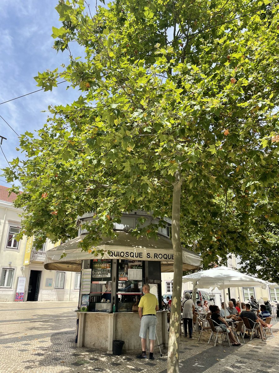 _kritikaseth's tweet photo. These kiosks also make public spaces more interactive and contribute to the overall walkability of the city. 10/10 in both design and functionality https://t.co/fjmExGLuaG