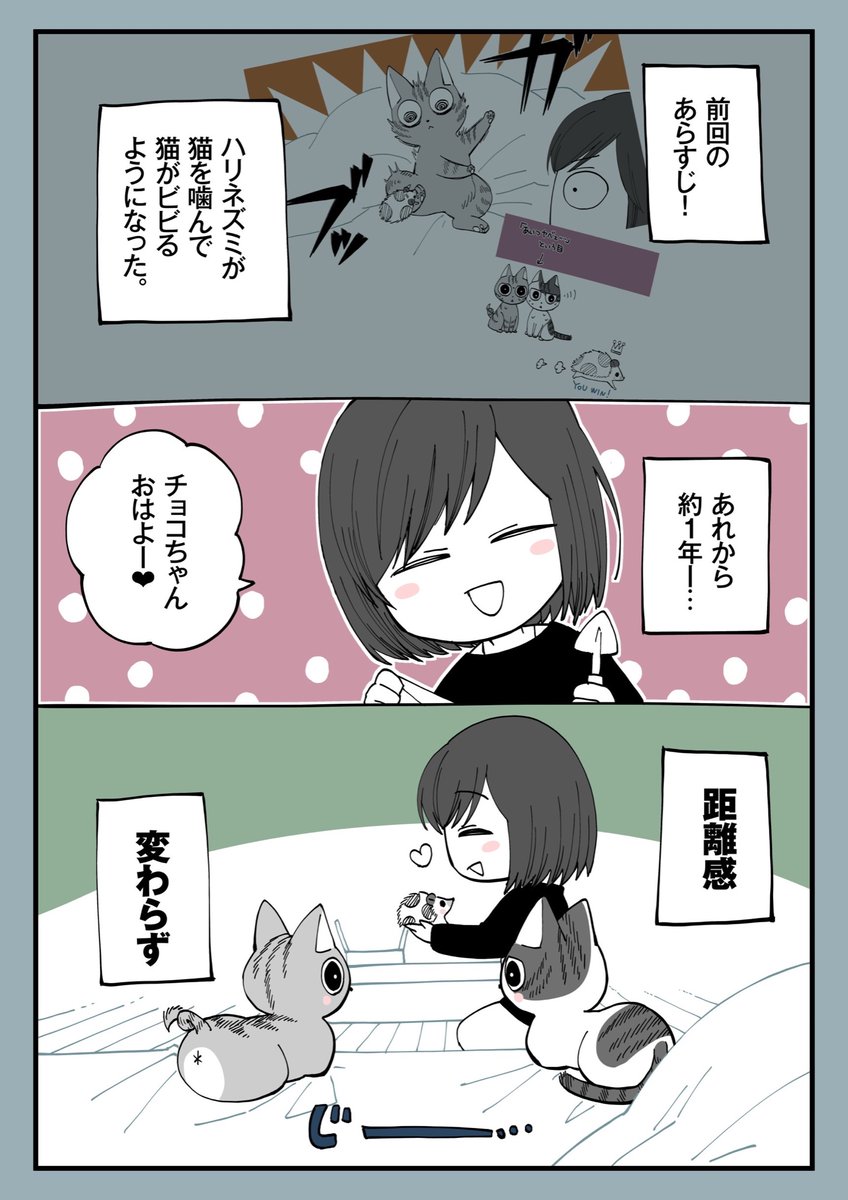 ポケモン 16 猫とハリネズミを一緒に飼ったら それから これで猫とハリネズミ終わりです ミナミ 廃妃 巻8 12発売の漫画