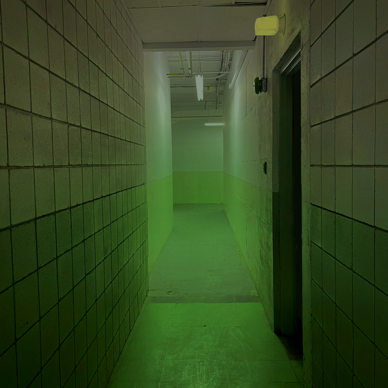 adistantsea's tweet photo. the door to the hospital is a swing door painted green, even the inset glass window. https://t.co/JBPY6U8rtK