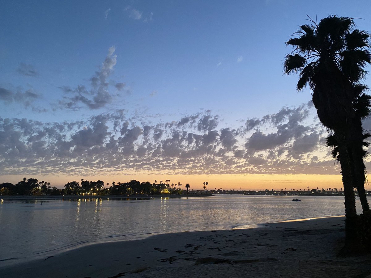 Heading home from #ASEV in San Diego - grapes and wine all the time! The future of wine in a changing climate, smoke effects on wine, optimizing site, rootstock and scion combinations, cover crops in vineyards, and so much more - happy to share our <a href="/vitisroots/">Vitis Underground</a> work too!! 🍇🍷