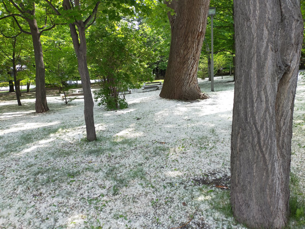 cryptoskeleton1's tweet image. gm〜