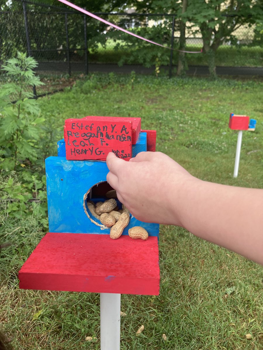 McelweeTami's tweet image. Building mansions for squirrels in Mr. Agostini’s class! Engineering and creativity in action! @OBENSchools @ObenTech