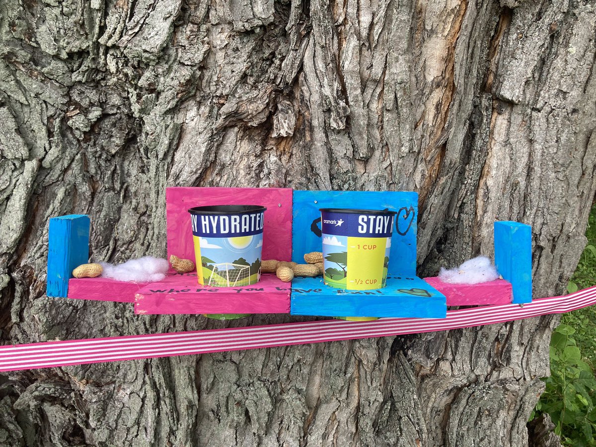 McelweeTami's tweet image. Building mansions for squirrels in Mr. Agostini’s class! Engineering and creativity in action! @OBENSchools @ObenTech