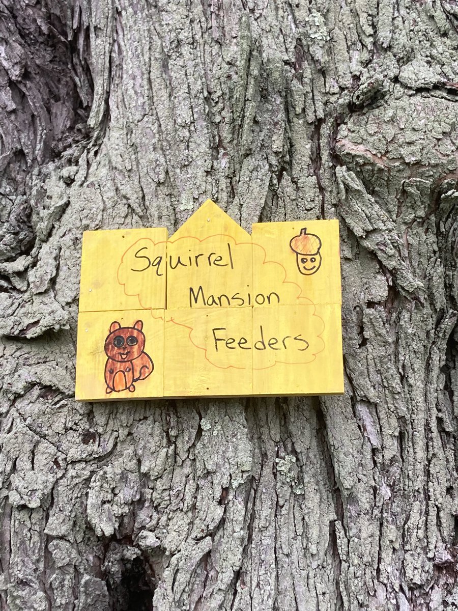 McelweeTami's tweet image. Building mansions for squirrels in Mr. Agostini’s class! Engineering and creativity in action! @OBENSchools @ObenTech