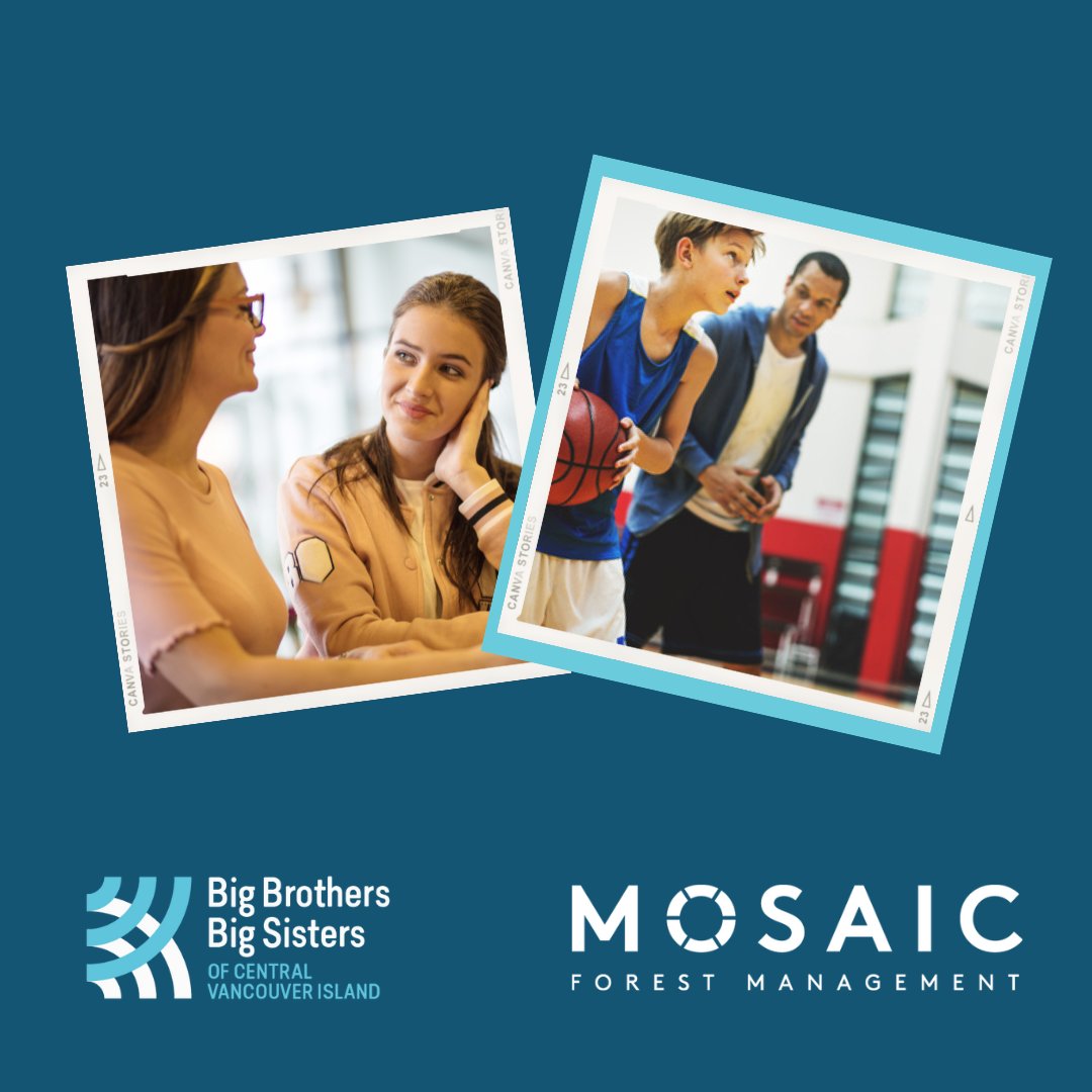 MosaicForests tweet media