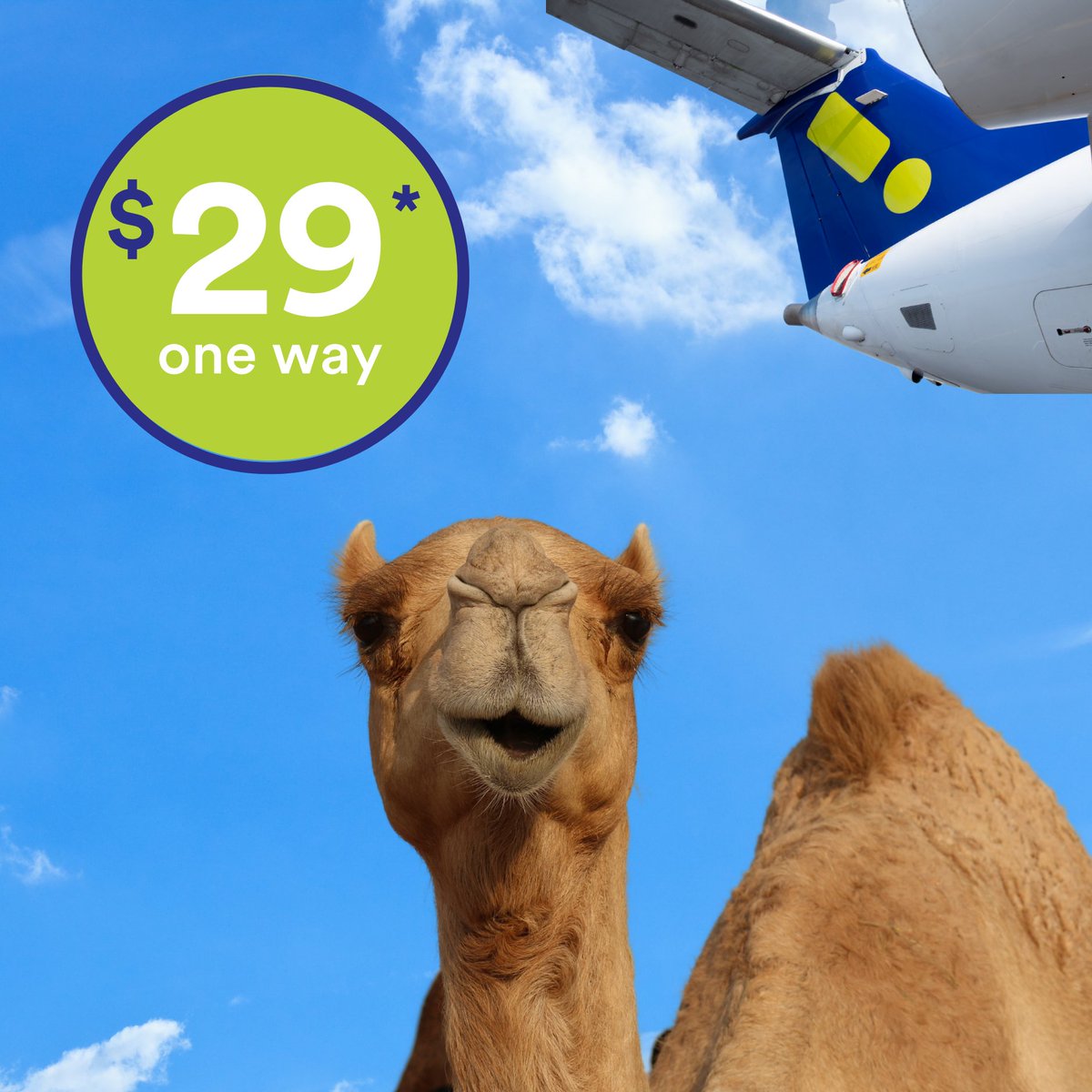 ahaairlines's tweet photo. 🙃 Smile! 🐪 Its a $29* Hump Day Sale! 🐫 

Through June 26, 2022 (until 11:59 PM PDT), book airfare for select Wed./Thurs. flights between July 6 - Oct. 31, 2022 for as low as $29* one-way! More info at https://t.co/eqVZ99OsyZ.

Based on availability, valid while fares last. https://t.co/jSPqMrwFkS