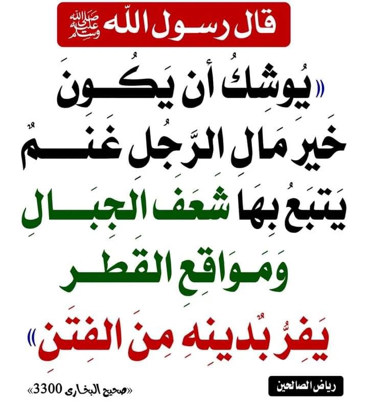 الإمام محمد ناصر الدين الألباني (@emamalalbany1) on Twitter photo 