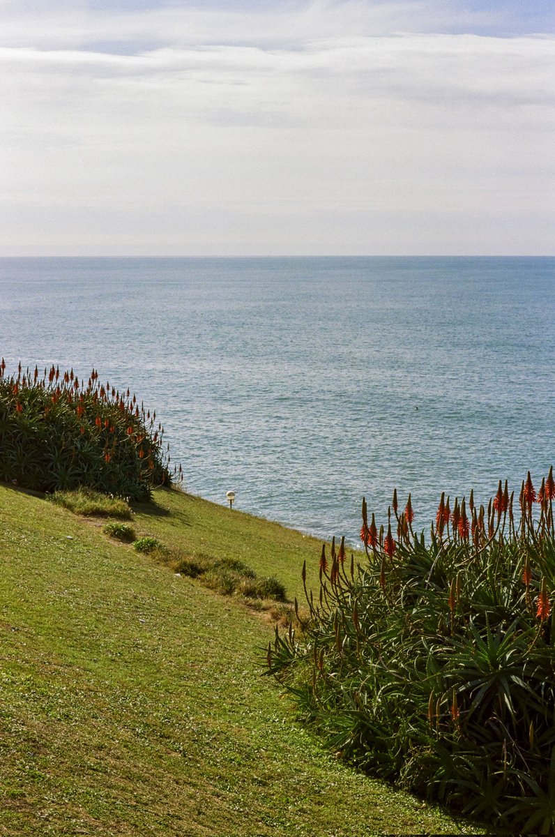 ffretez's tweet photo. Mar del Plata, 35mm y formato medio. https://t.co/o9X2azLnVX