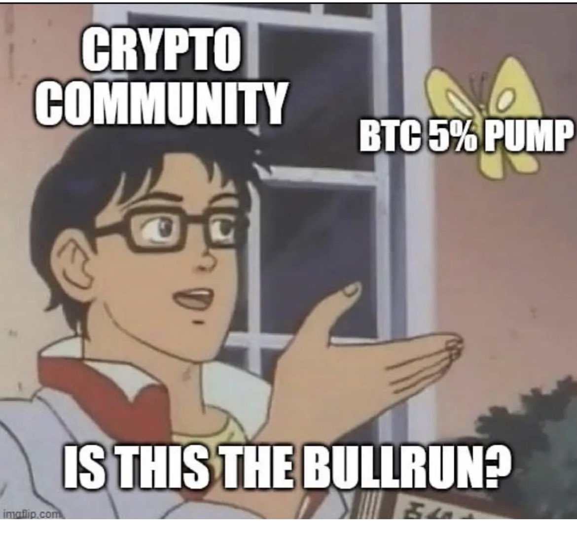 SG | Crypto (@swampygatorsart) on Twitter photo 