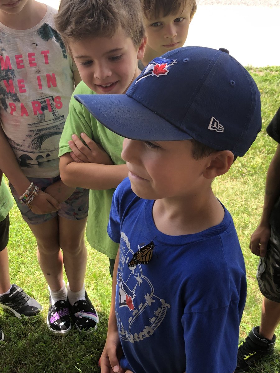 Colleen Chisholm-Bennett tweet media