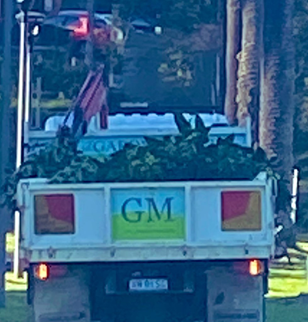 GM ! GM! 🌅🌅🌅🌅

To those on the other side of the world! 

Hoping this web3 bear is not clawing you down. Stay positive and keep building! 

#gm #Web3