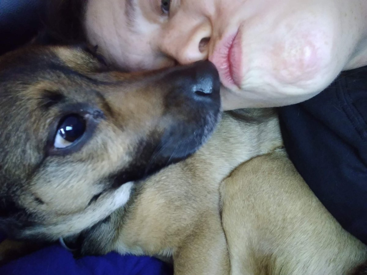 DamiensDame's tweet photo. 1 week until the day, a YEAR AGO the @WinnipegHumane let a stranger steal our dog. #ManitobaHousing property managers threaten their tenants with eviction unless they tell Wpg Humane that the dog was abondoned. We called as soon as we found out a day later &amp; she was already gone? https://t.co/9Z3QSkRStt