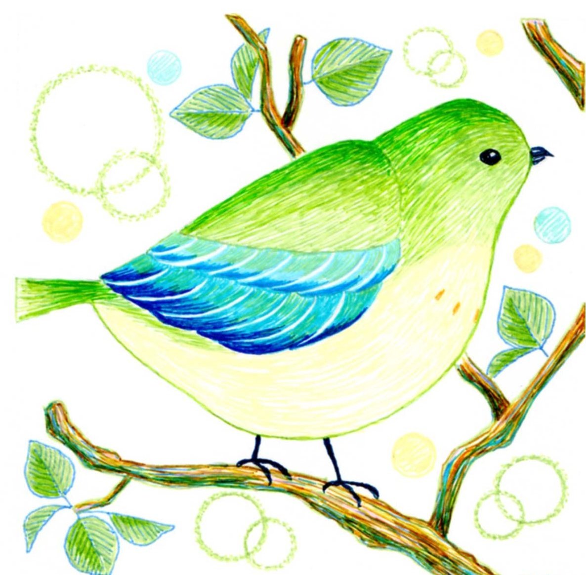 鳥図鑑 のイラスト マンガ作品 25 件 Twoucan