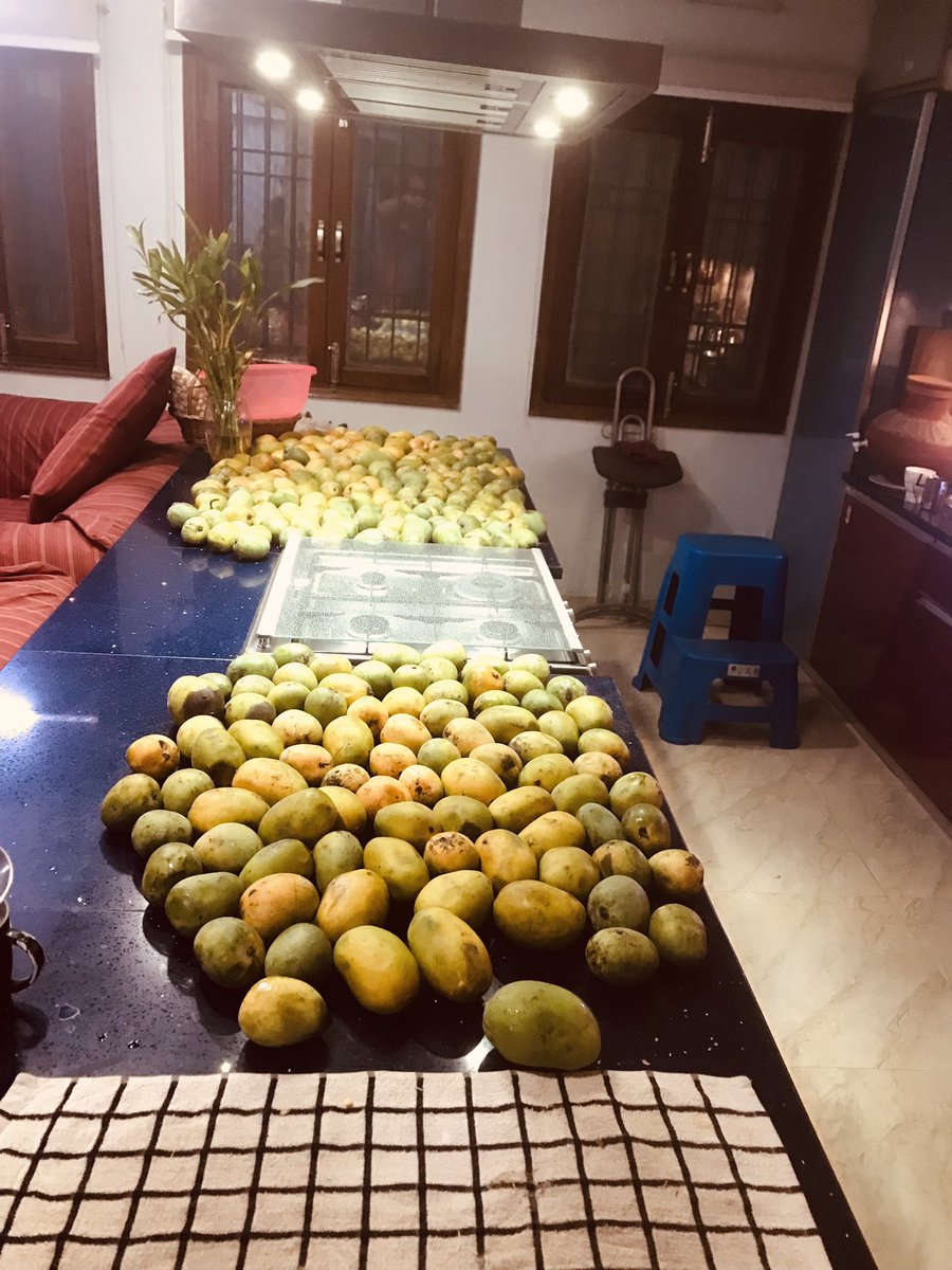 homoeoclinique's tweet photo. When your kitchen becomes #AamKhana Second installment of mangoes from my village in Bihar. This time it’s Danka /Maldah and Shabuja #BiharConnection https://t.co/JbDDuvuSWZ