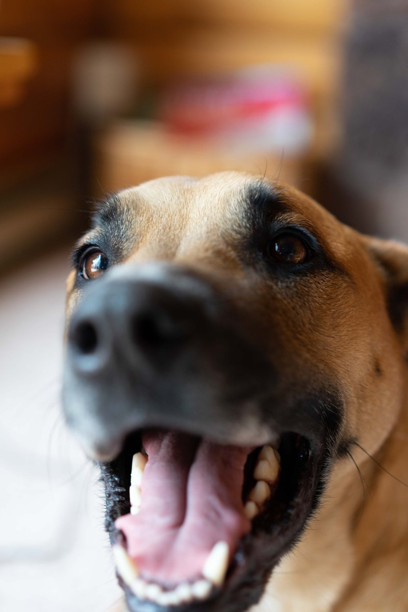 #thatfeeling when your mom and her team only have THREE THOUSAND DOLLARS left to raise in order to COMPLETE the movie you're the STAR of!!! If you haven't donated and would like to, the direct link to the donation page through our fiscal sponsor Film Independent is in the bio.💜