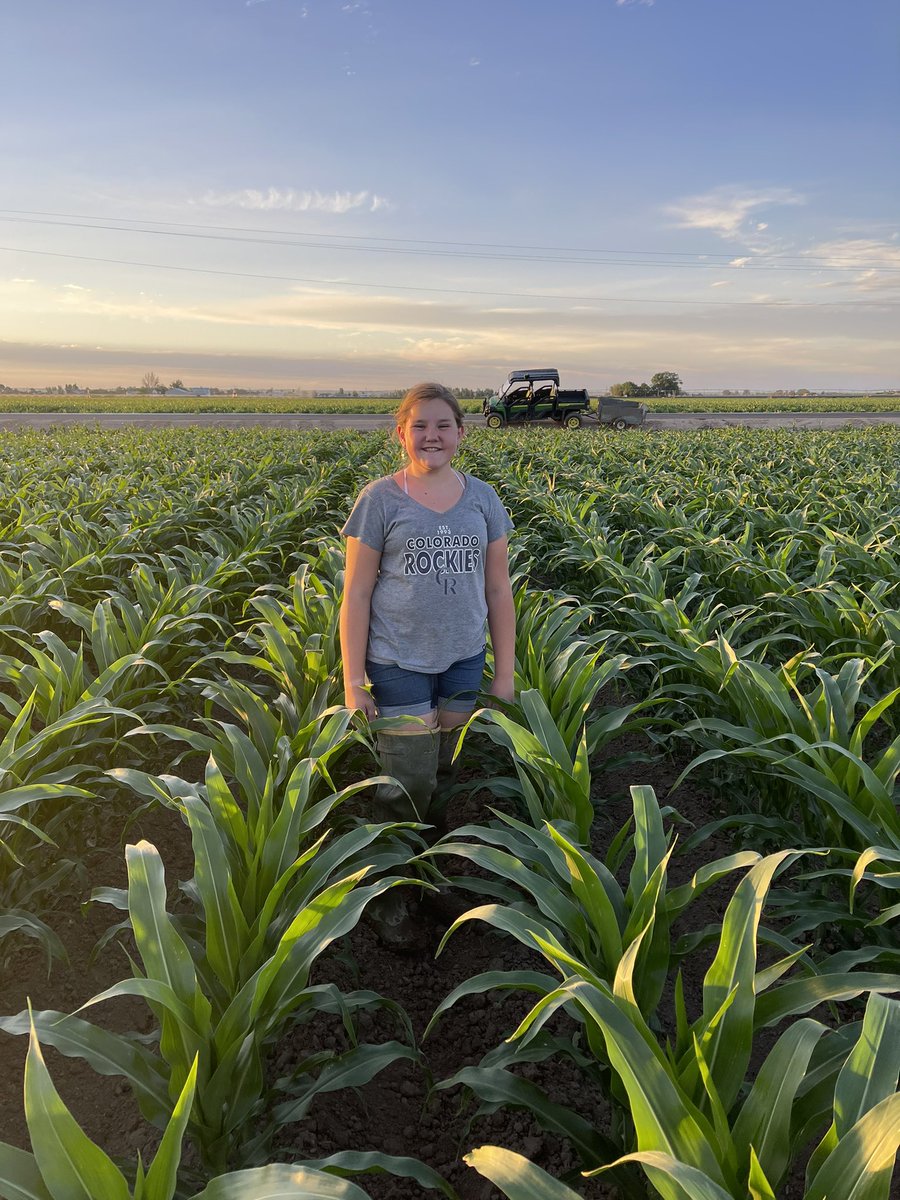 Child and good corn for twitter clout.
