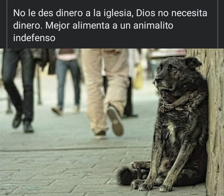 GallitoIII's tweet photo. 🥺 https://t.co/APP7ftRh1v