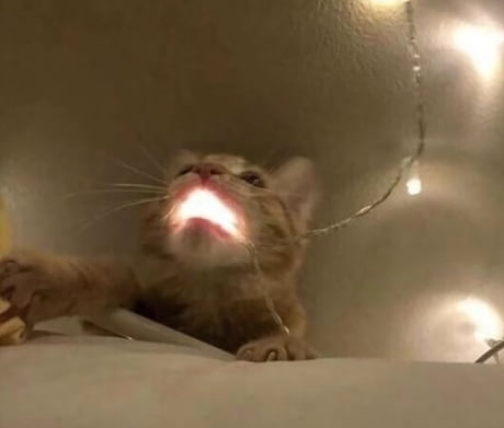 donuttie.✦ it takes forever to find art of a shiny metagross besides mega metagross 

I WANT TO REVAMP