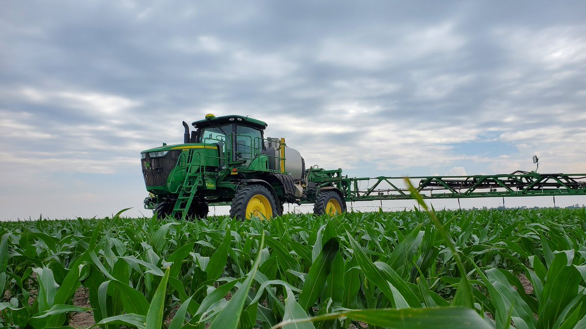 Alex Millershaski tweet media