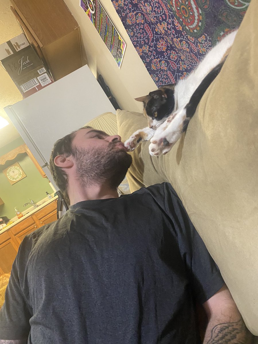 brooklynalyssa_'s tweet photo. thanks for getting me through college and major events, I couldn’t have asked for a better pet. your unique scream meow will be missed so fucking much https://t.co/Wb5I9w2WS6