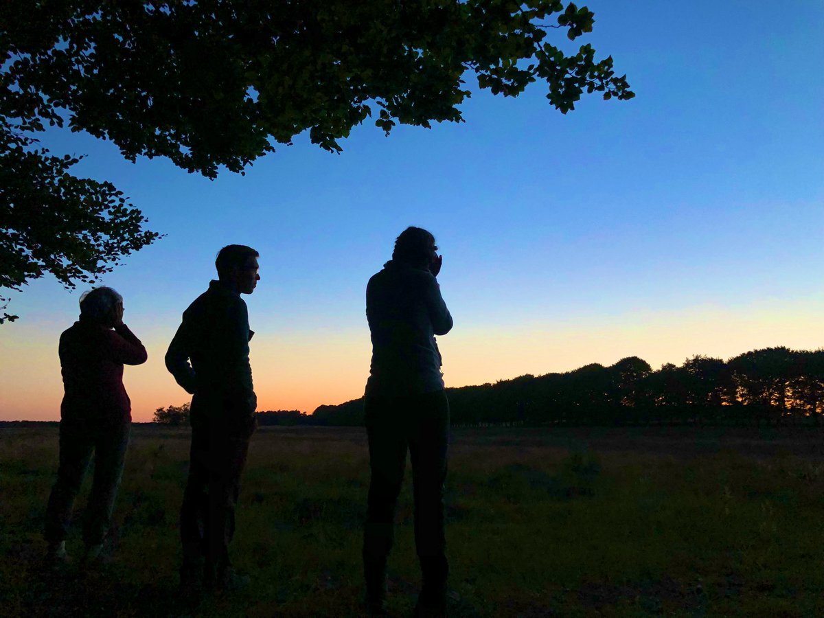 Weer heerlijk drie dagen zwerven, Kamperen 🏕 en van de #natuur genieten tijdens de Eindeloze Veluwetocht #EVT van <a href="/NM_Gelderland/">NM Gelderland</a>. En tegen de schemering de #kwartels en de #nachtzwaluwen tegelijkertijd in de schemering horen zingen. Prachtig! #bijzonderenatuur