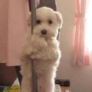 httpsturing's tweet image. deixei acumular matéria e agora estou a ponto de surtar