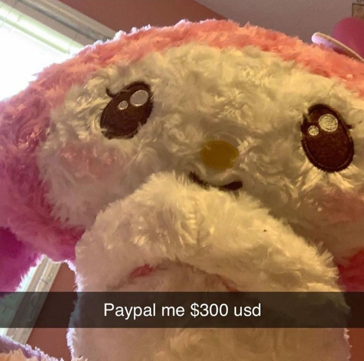 LilShrimp tweet media