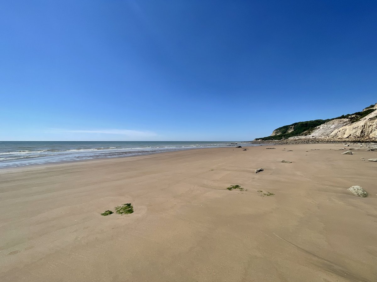 chris33nat's tweet image. I love Fairlight Glen, especially at low tide. It was a deserted sandy paradise today. So lucky to have this a 45 minute drive away.