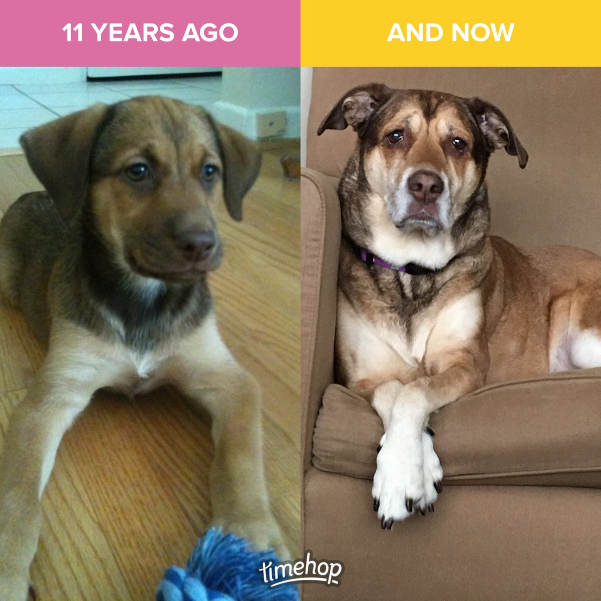 Tim Folmar tweet media