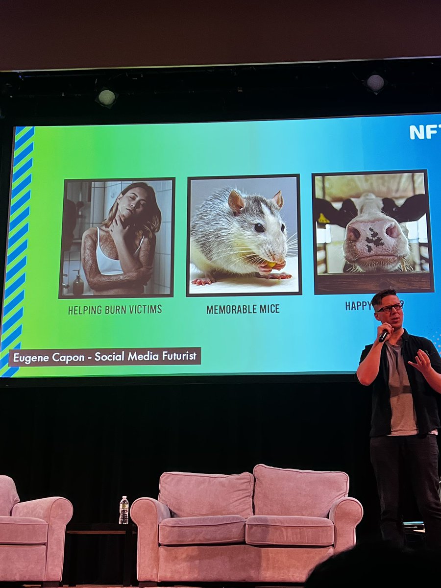 dash-verse.io tweet media