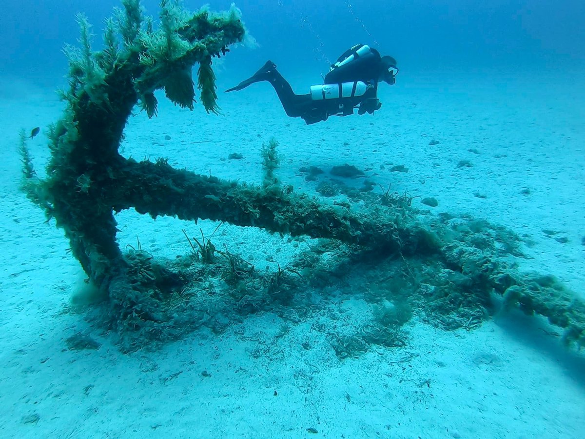 The anchor of the MV Rozi tugboat. This means we’re headed in the right direction if we want to see the wreck 🇲🇹 #mvrozi #Malta #tecdiving #Prism2 #hollis #rebreather #CCR

📸 instagram.com/p/CfICXVwoVgC/ via tweet.photo