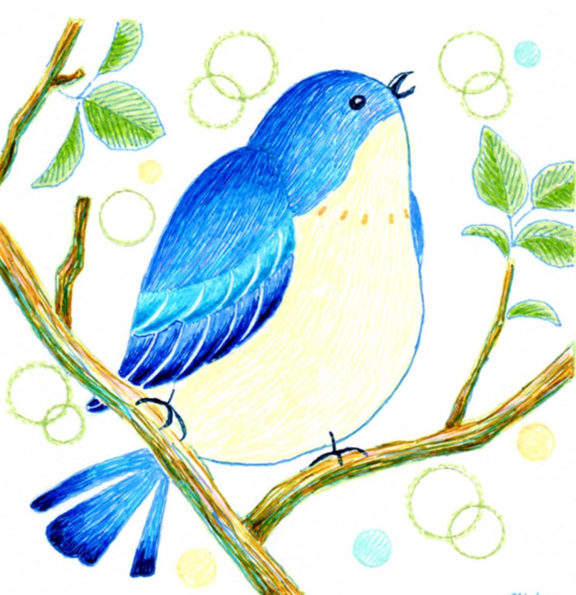 鳥図鑑 のイラスト マンガ作品 25 件 Twoucan