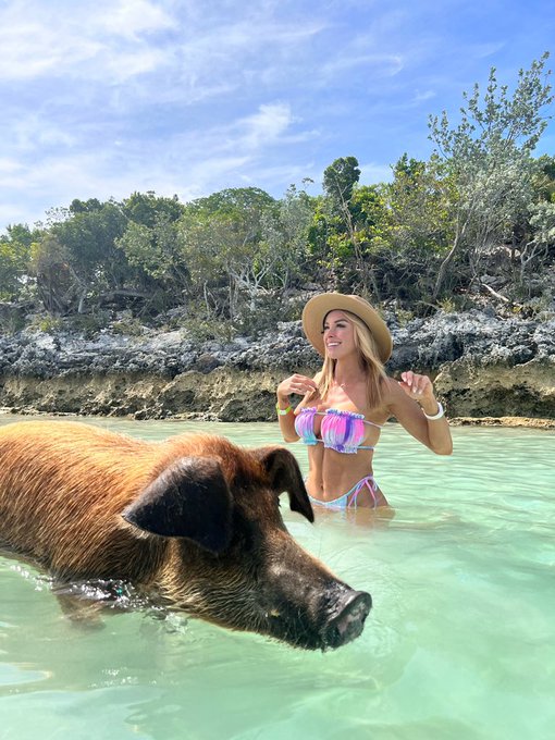 Jokes aside, these piggies were the highlight of the adventures today 🐷 https://t.co/hMppXeFTMi<a href="/tag/singlelife"class="tags"><span>#singlelife</span></a>
