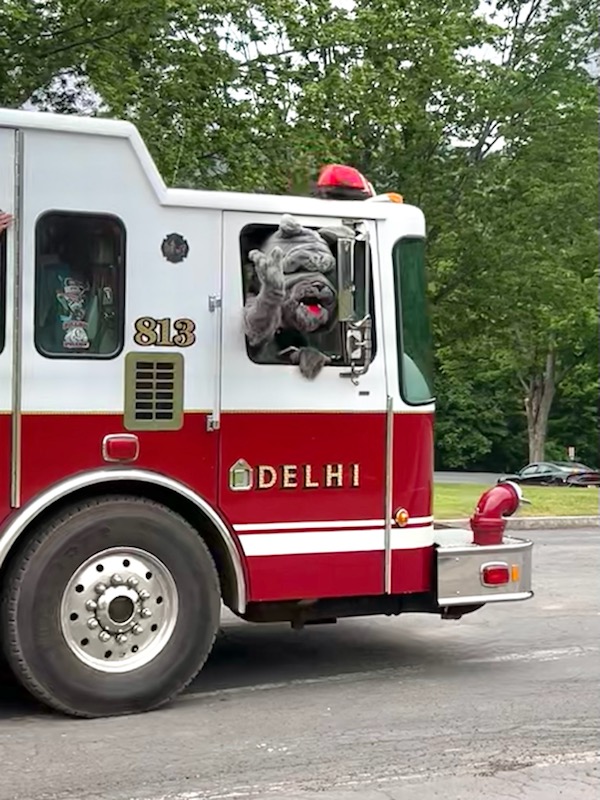 CrystalLTrask's tweet photo. Some things from COVID are with keeping... like the senior parade! Students decorated their cars, picked up their caps and gowns then drove through town under the congratulatory banner escorted by local emergency services and, of course, THE BULLDOG! 

1 day closer 🎓 https://t.co/pmgIAnxKPN