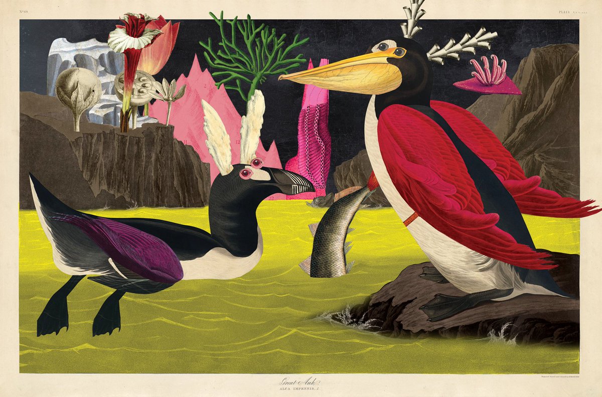 Looking for a #Solana NFT project that will blow your mind? 🤯 

Join our lovely Bird Fam, we'll show you where NFTs for Good meets surrealism and birds that are out of this world! #NFTs

Birds of Sōlis Collection by <a href="/VarvaraAlay/">Varvara Alay</a> is minting now on Snowcrash.com!